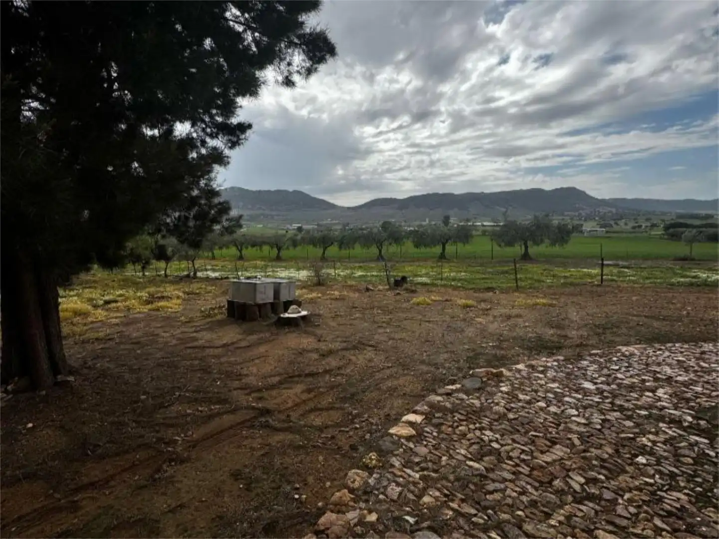 Flat for sale in Lugar Diseminado, 141, Cabeza del Buey Flat for sale in Cabeza del Buey with Private garden and Storage room