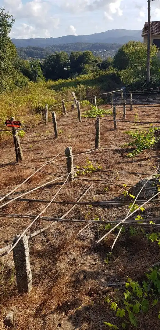 Garden of Land for sale in Nigrán