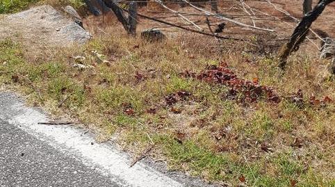 Land for sale in Camiño Piñeiros, 62, Camos, Pontevedra - image 3 Photo 3 of Land for sale in Camiño Piñeiros, 62, Camos, Pontevedra