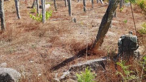 Photo 2 of Land for sale in Camiño Piñeiros, 62, Camos, Nigrán