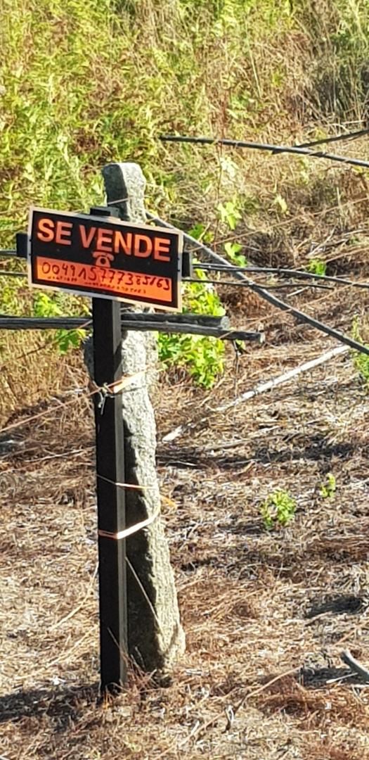 Exterior view of Land for sale in Nigrán