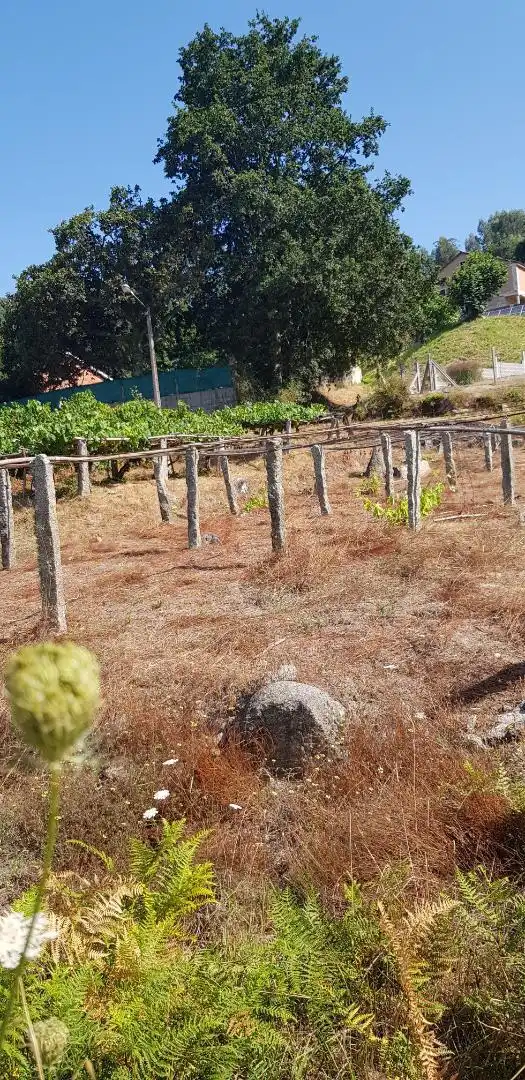 Land for sale in Nigrán