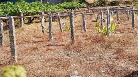 Land for sale in Camiño Piñeiros, 62, Camos, Pontevedra - image 2 Photo 2 of Land for sale in Camiño Piñeiros, 62, Camos, Pontevedra