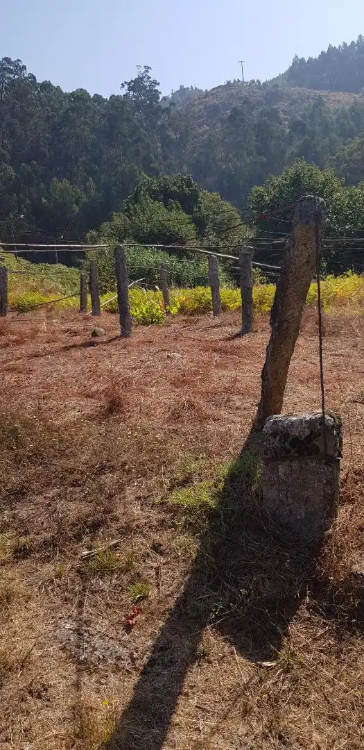 Land for sale in Nigrán