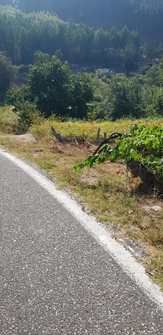 Land for sale in Nigrán