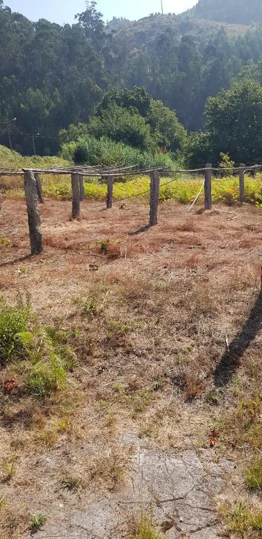 Land for sale in Nigrán
