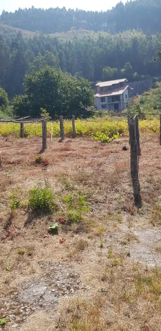 Land for sale in Nigrán