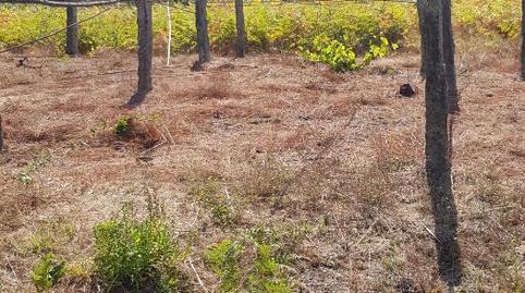 Land for sale in Camiño Piñeiros, 62, Camos, Pontevedra - image 4 Photo 4 of Land for sale in Camiño Piñeiros, 62, Camos, Pontevedra