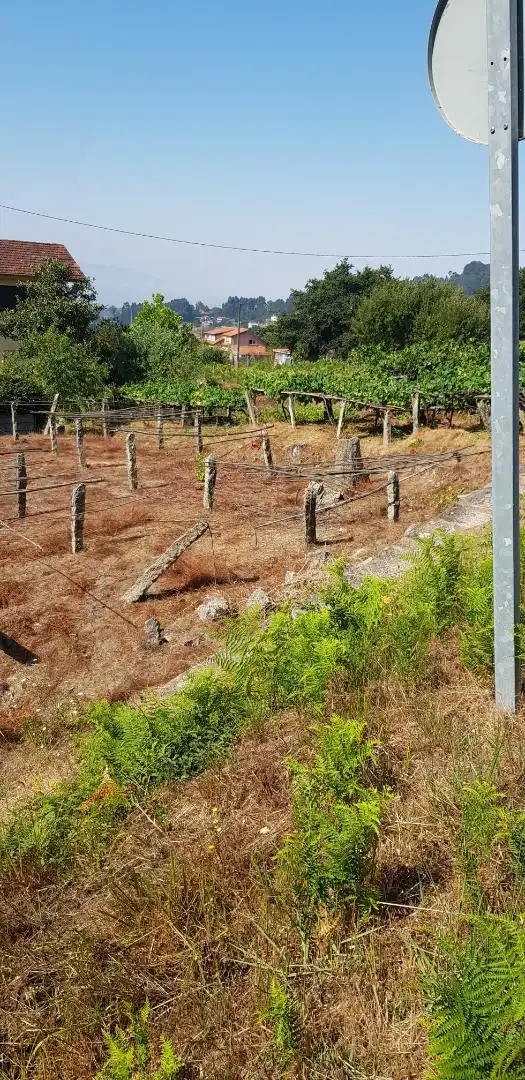 Land for sale in Nigrán