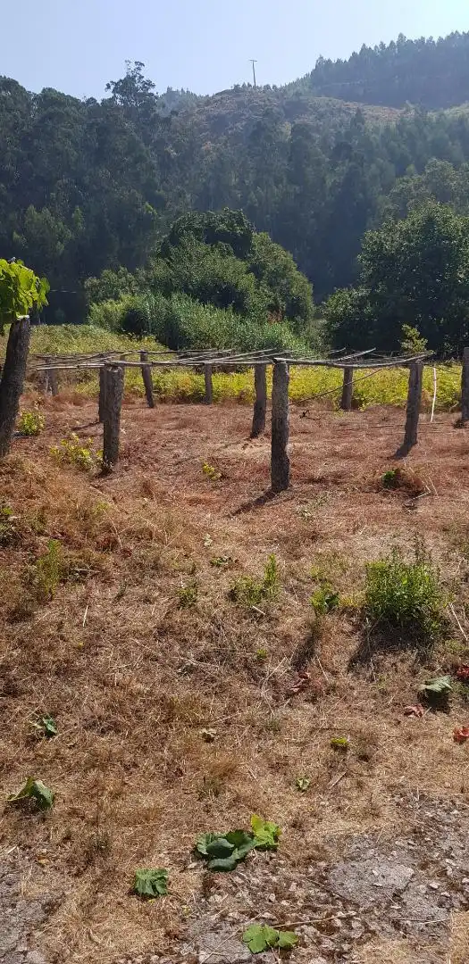 Land for sale in Nigrán