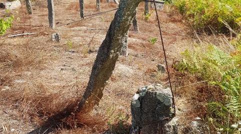 Photo 4 of Land for sale in Camiño Piñeiros, 62, Camos, Nigrán