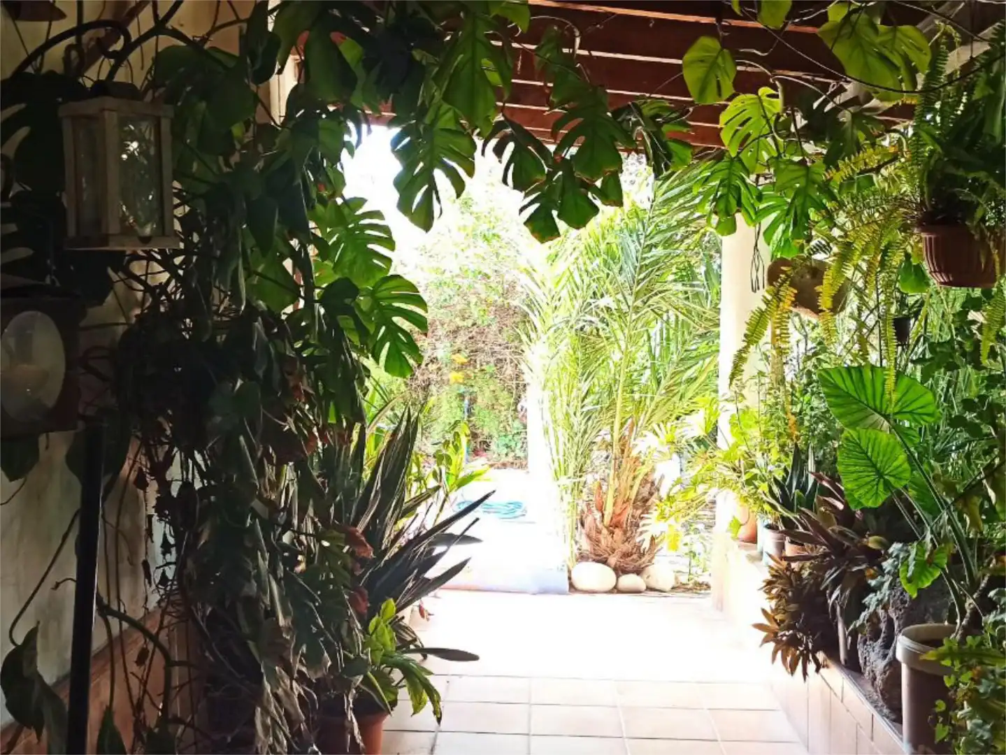 Finca rústica en venta en Barriada el Saltador Alto, 40, Carboneras Finca rústica en venta en Carboneras con Aire acondicionado, Calefacción y Jardín privado