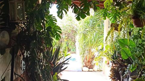 Foto 3 de Finca rústica en venda a Barriada el Saltador Alto, 40, Carboneras, Almería