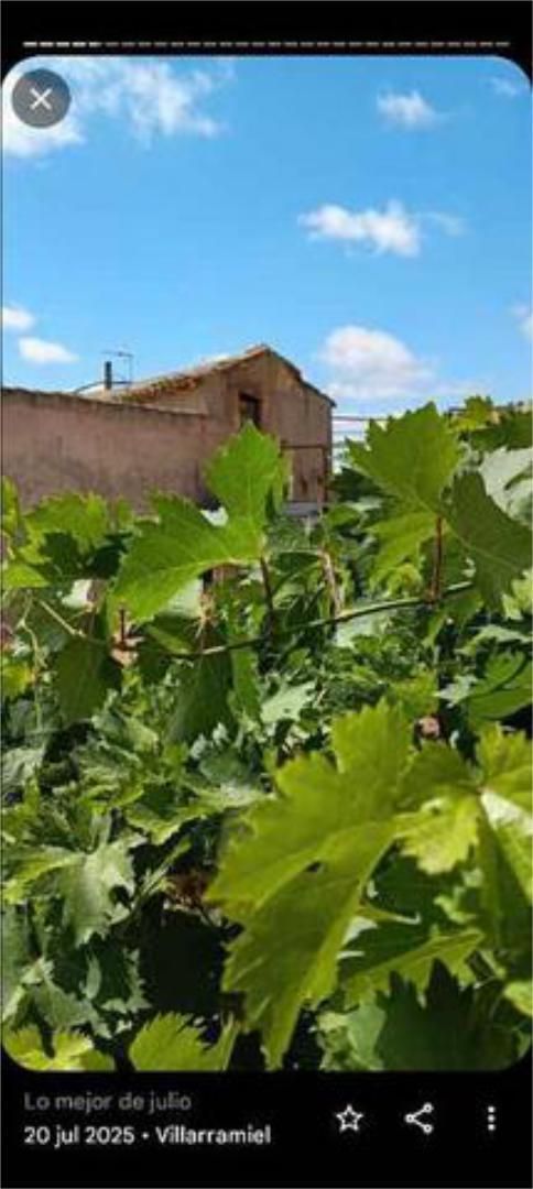 Jardí de Casa o xalet en venda en Villarramiel