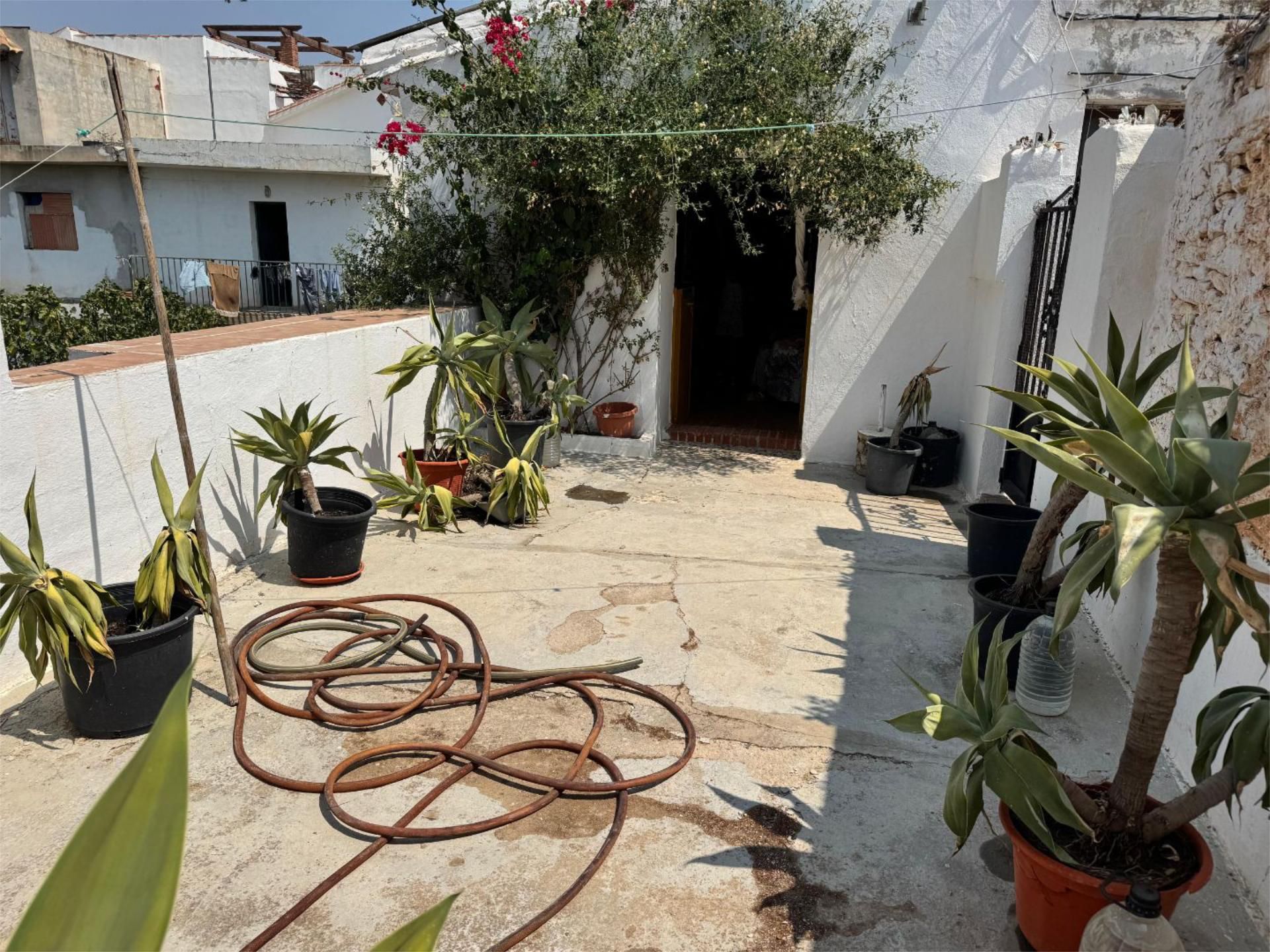 Garden of Single-family semi-detached for sale in Moclinejo  with Storage room and Furnished