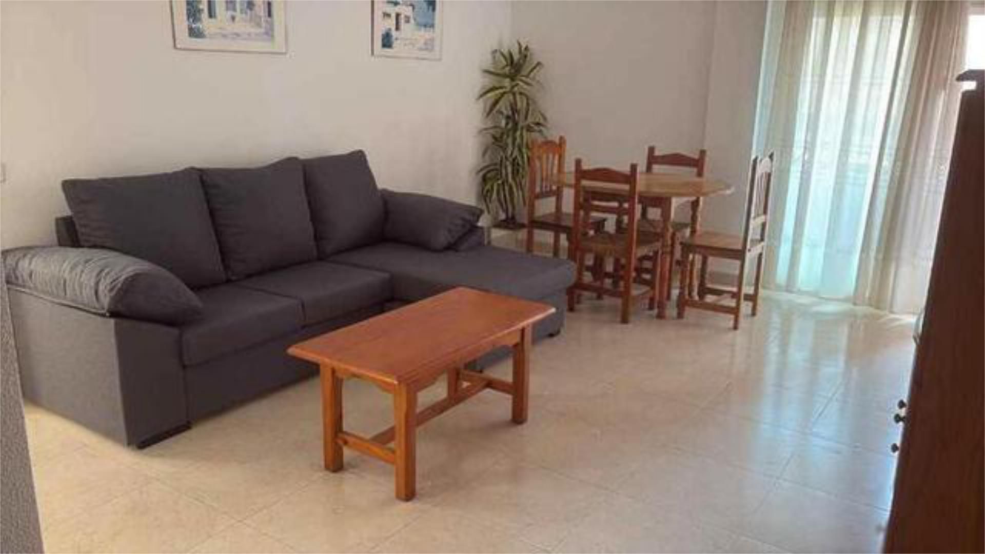 Sala d'estar de Àtic de lloguer en Roquetas de Mar amb Jardí privat, Terrassa i Moblat
