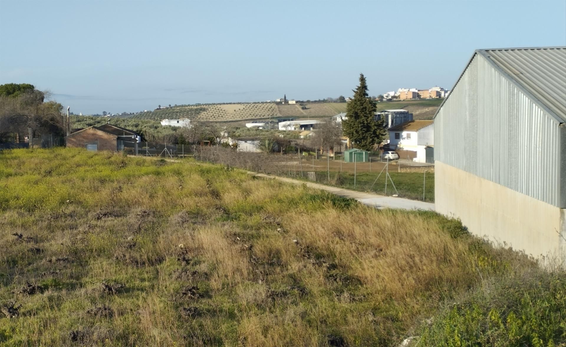 Finca rústica en venda en Montilla