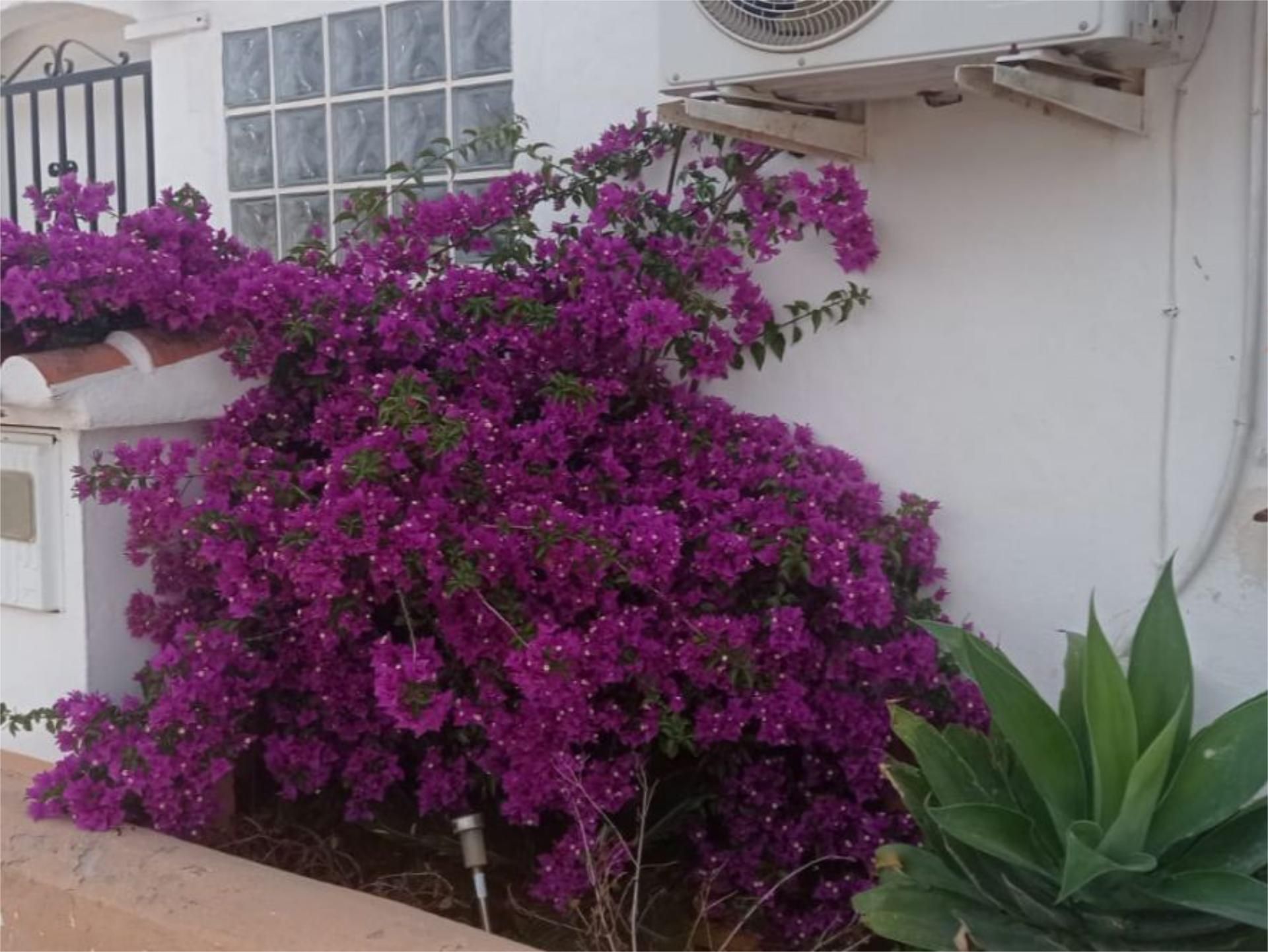 Garden of Flat to rent in Oliva  with Air Conditioner, Heating and Terrace