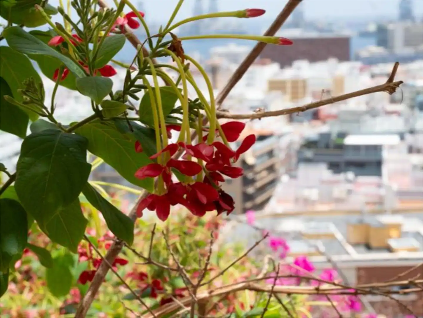 Wohnung zum Verkauf in Paseo San Antonio, Schamann - Rehoyas Außenansicht von Wohnung zum Verkauf in Las Palmas de Gran Canaria mit Privatgarten, Terrasse und Abstellraum