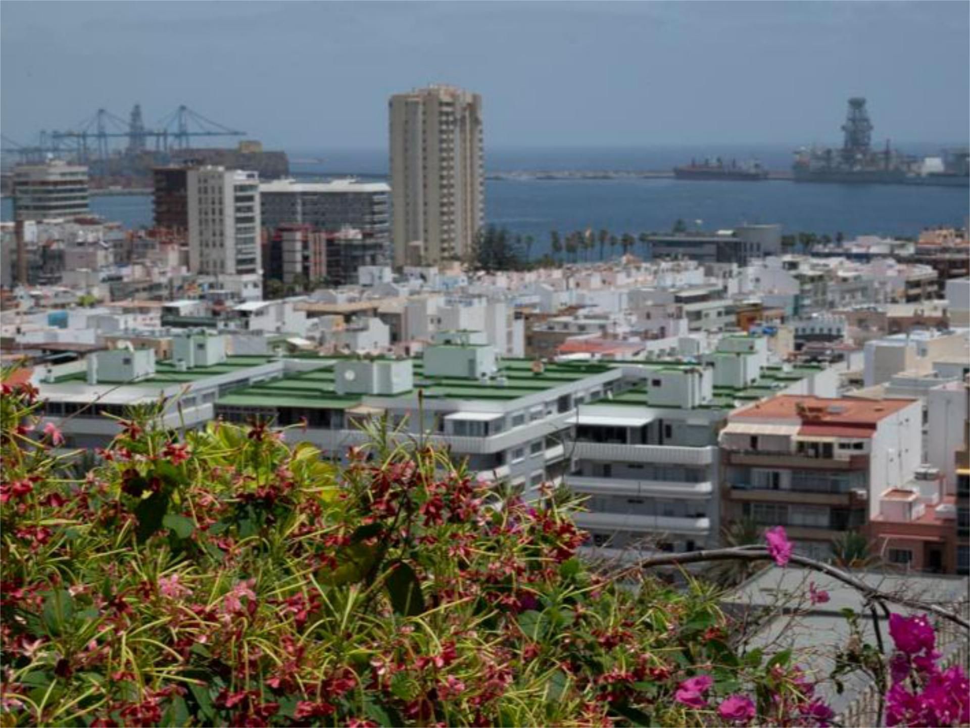 Exterior view of Flat for sale in Las Palmas de Gran Canaria  with Terrace and Balcony