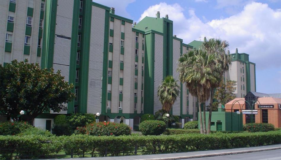 Photo 1 of Flat to rent in Plaza Leonardo Da Vinci, 5, El Palo, Málaga