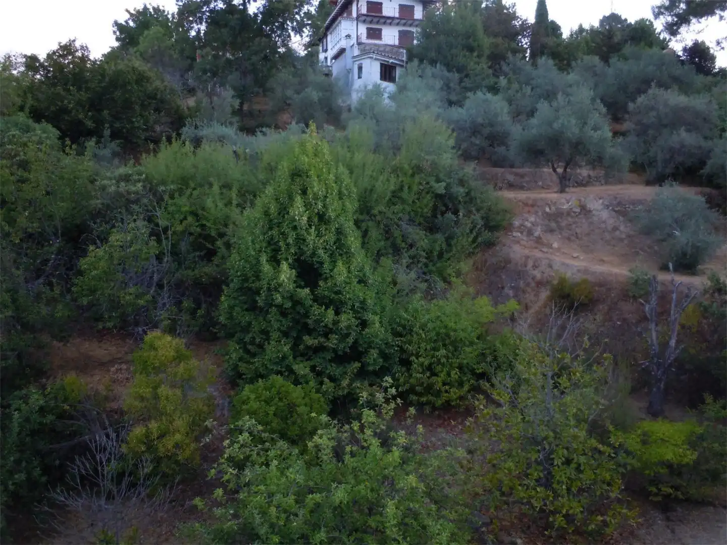 Piso en venta en Arenas de San Pedro con Jardín privado, Terraza y Trastero