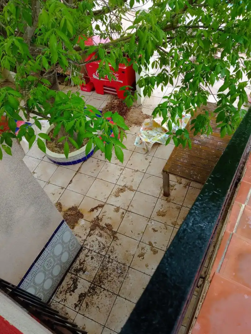 Apartamento en venta en Plaça Numero 6, 768, Playa de Gandia Jardín de Apartamento en venta en Gandia con Aire acondicionado, Calefacción y Jardín privado