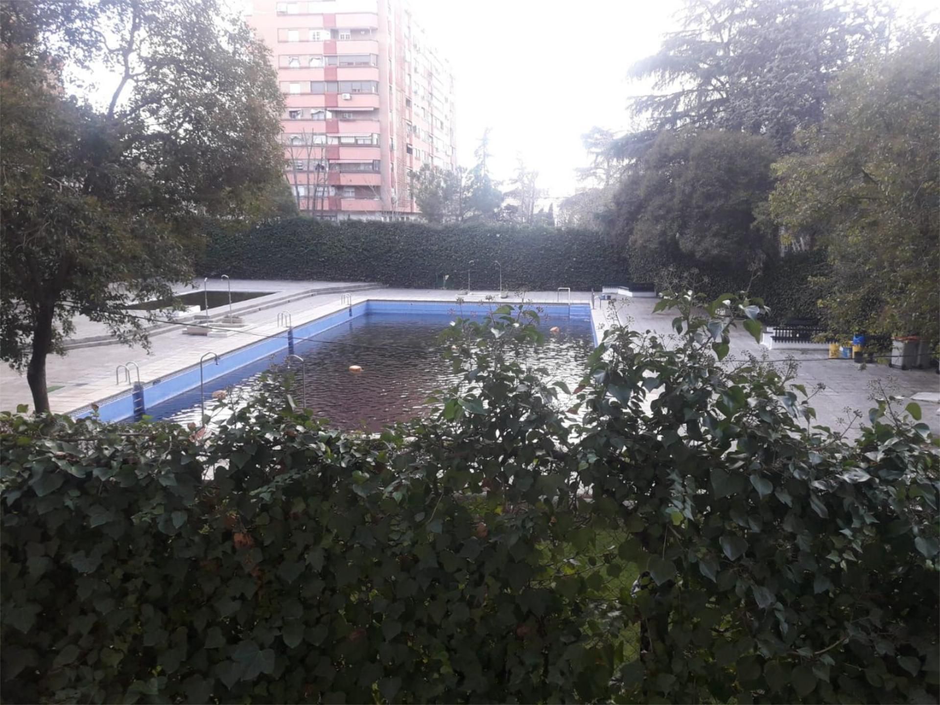 Swimming pool of Flat to share in  Madrid Capital  with Air Conditioner, Heating and Parquet flooring