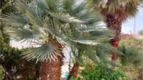 Single-family semi-detached for sale in Pueblo - Urbanizaciones, Alicante - image 3 Photo 3 of Single-family semi-detached for sale in Pueblo - Urbanizaciones, Alicante