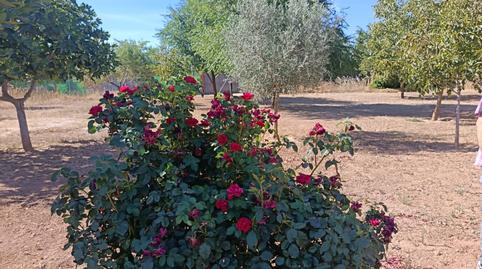Photo 2 of Land for sale in Carretera, 229, Área Rural-Valverde-Las Casas, Ciudad Real