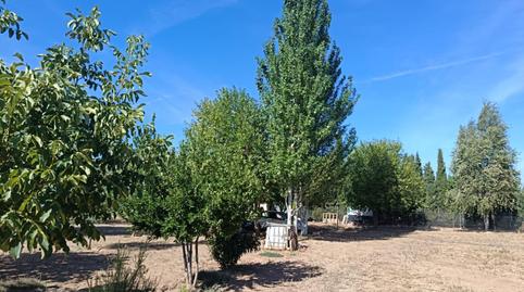 Photo 4 of Land for sale in Carretera, 229, Área Rural-Valverde-Las Casas, Ciudad Real