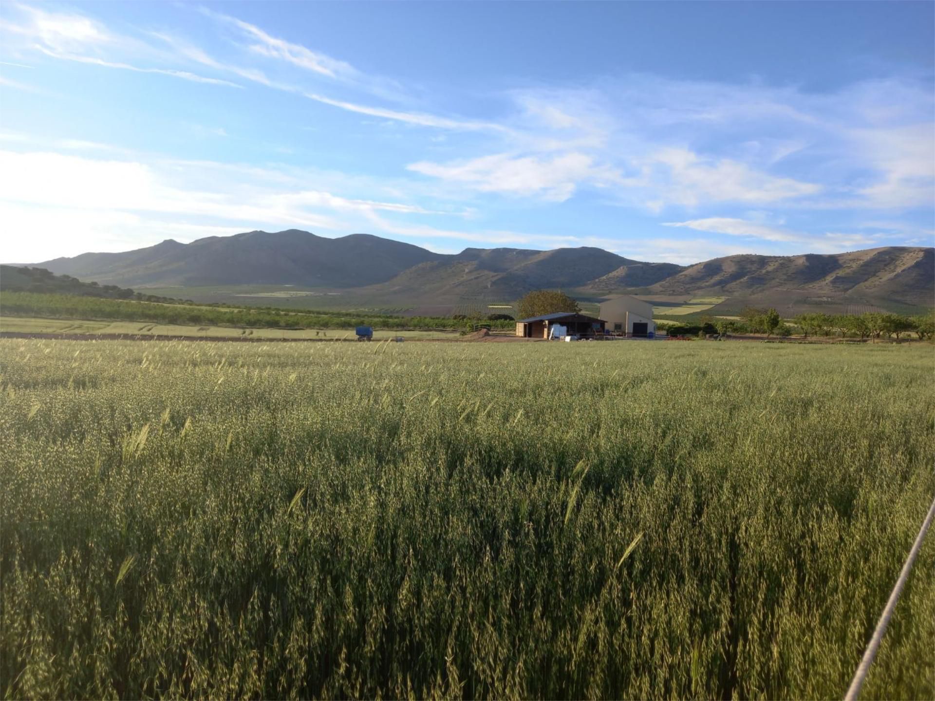 Vista exterior de Finca rústica en venda en Cúllar amb Aire condicionat, Calefacció i Jardí privat
