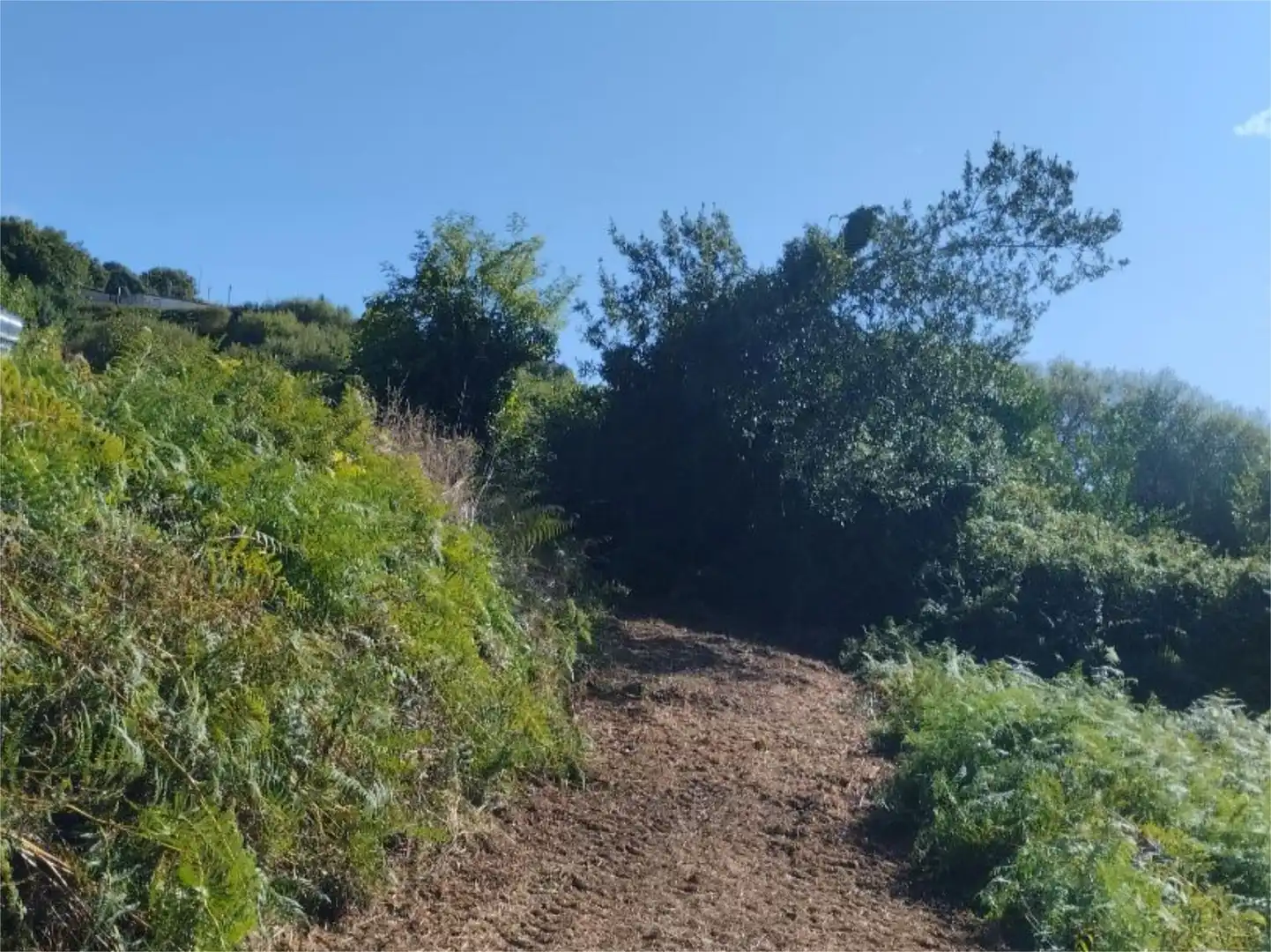 Finca rústica en venta en Travesía de Arteixo, 1, Oseiro Finca rústica en venta en Arteixo