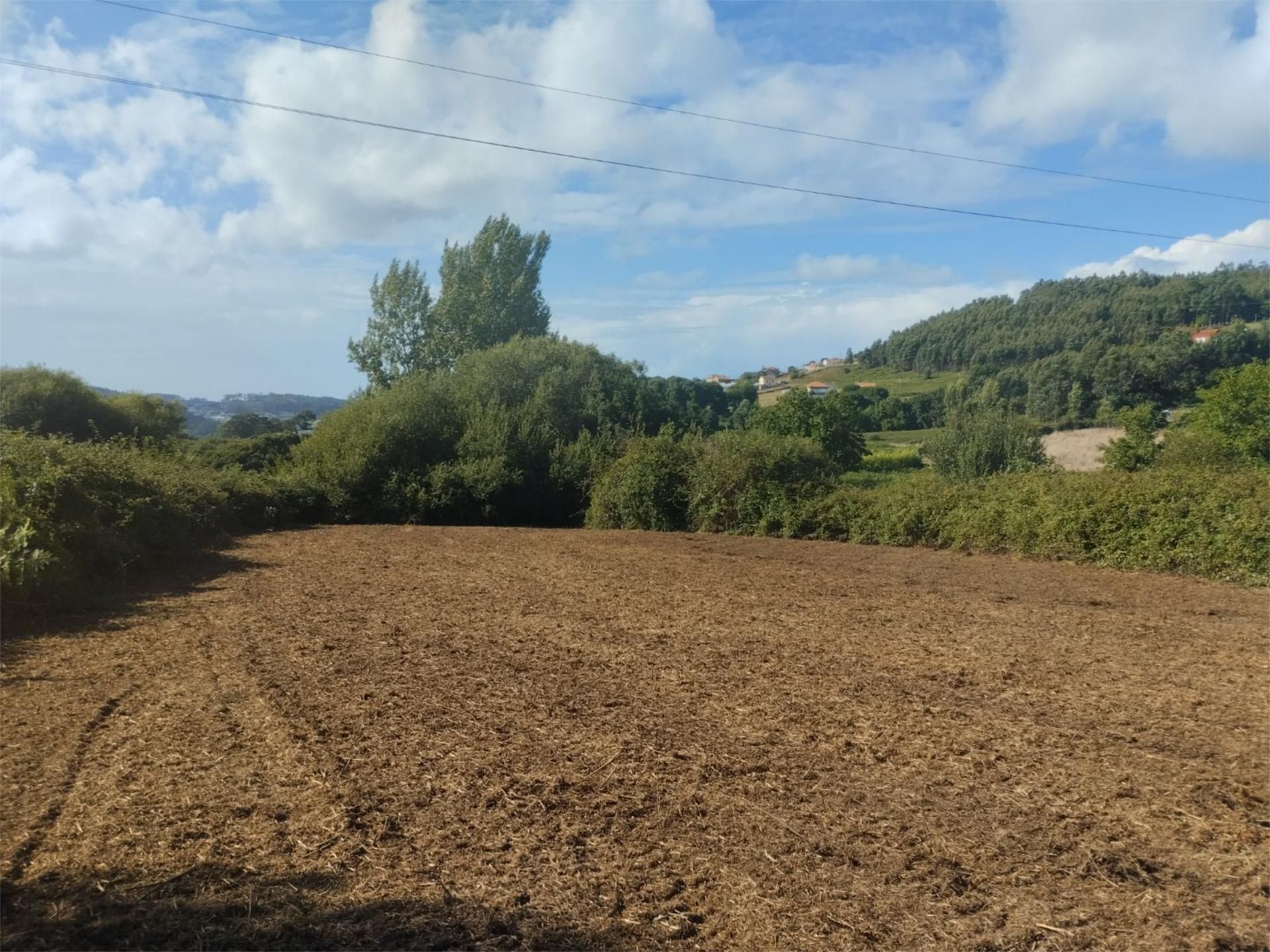 Finca rústica en venta en Arteixo