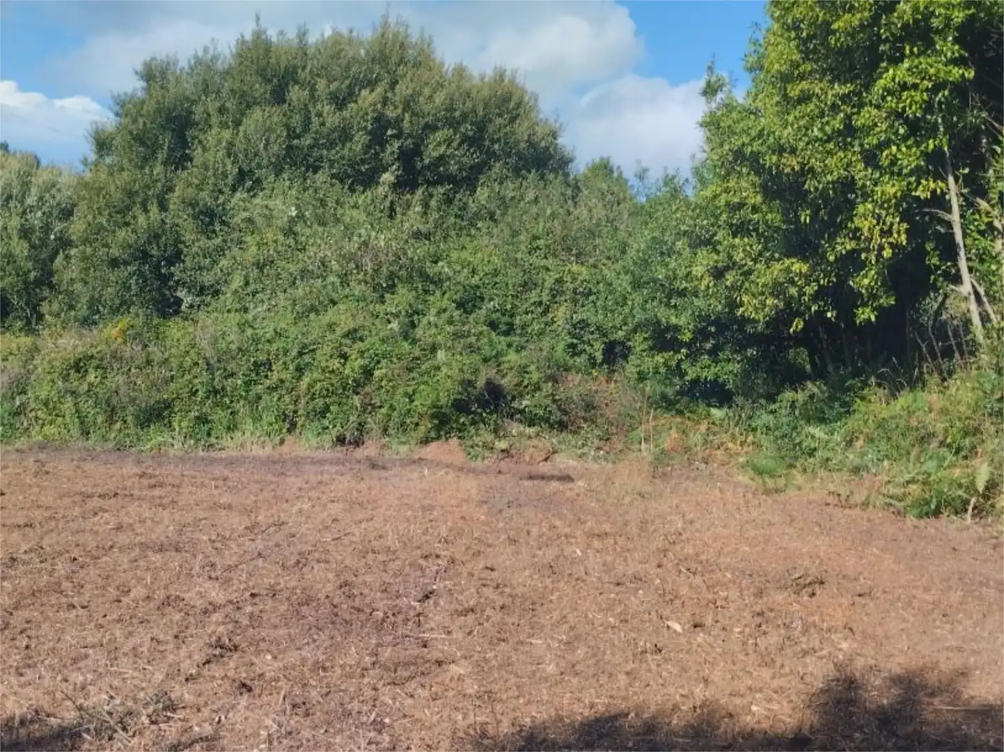 Finca rústica en venta en Travesía de Arteixo, 1, Oseiro Finca rústica en venta en Arteixo