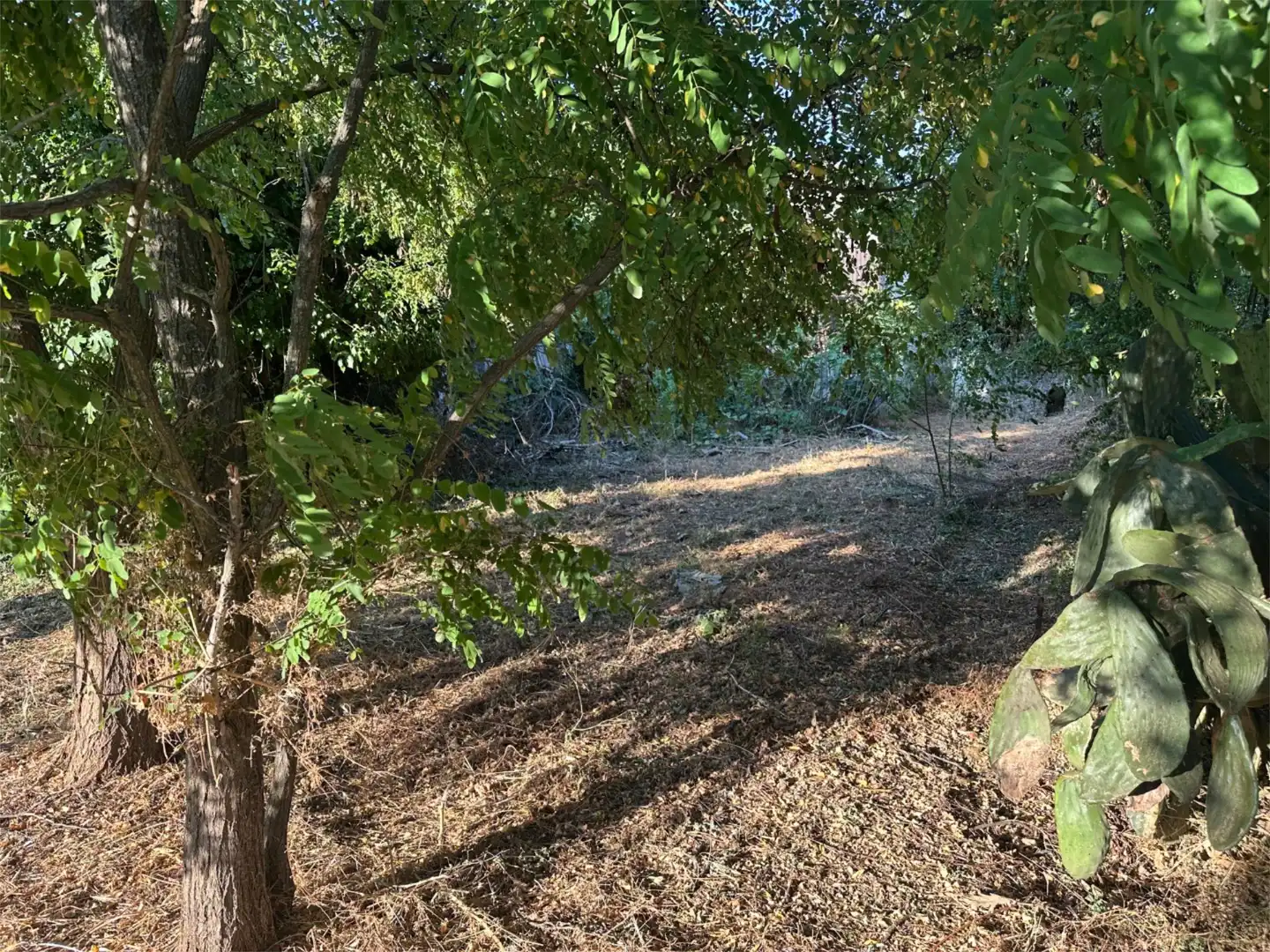 Finca rústica en venta en Calle Nicolas Maqueda, 3, Poyales del Hoyo Finca rústica en venta en Poyales del Hoyo