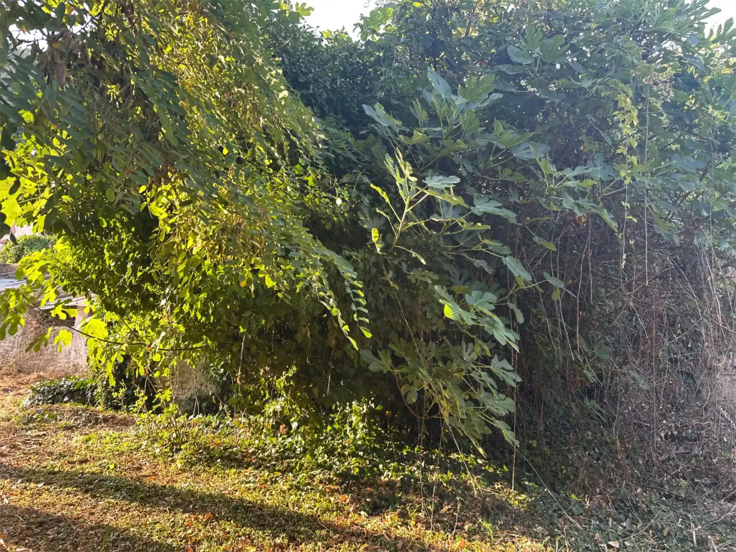 Finca rústica en venta en Calle Nicolas Maqueda, 3, Poyales del Hoyo Finca rústica en venta en Poyales del Hoyo