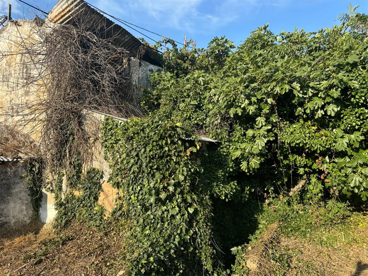 Finca rústica en venta en Calle Nicolas Maqueda, 3, Poyales del Hoyo Finca rústica en venta en Poyales del Hoyo