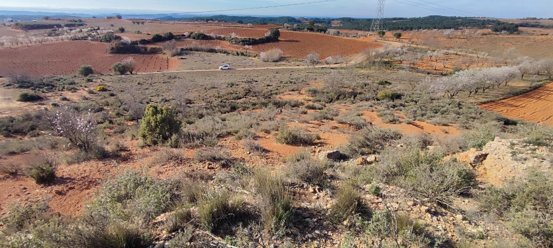 Finca rústica de alquiler en Utiel