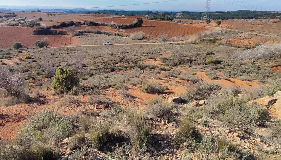 Foto 1 de Finca rústica de alquiler en Avenida Marín Lázaro, 6b, Utiel, Valencia