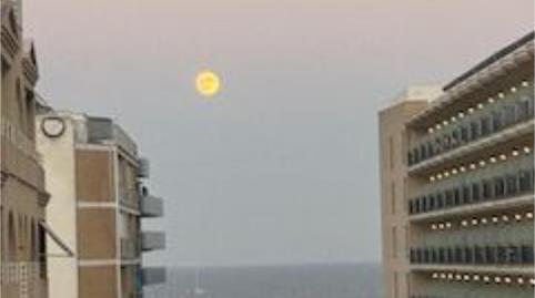 Flat to rent in Carrer Oscar Espla, 17, Zona Pueblo, Alicante - image 2 Photo 2 of Flat to rent in Carrer Oscar Espla, 17, Zona Pueblo, Alicante