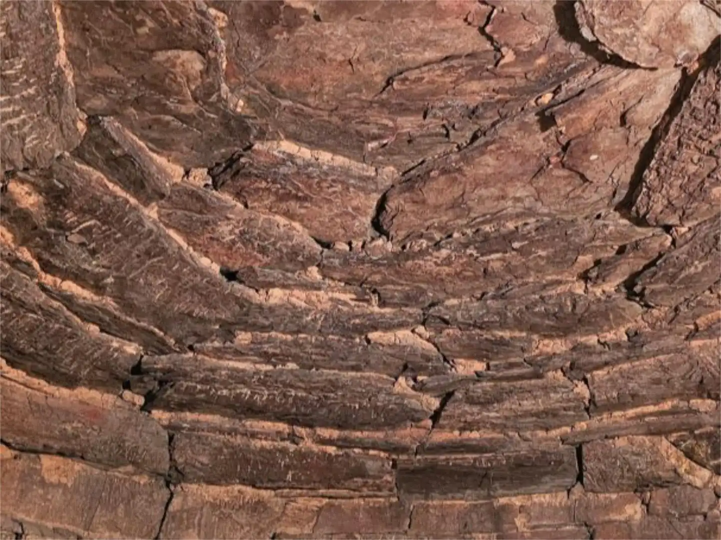 Vista exterior de Casa o xalet en venda en A Pontenova   amb Balcó