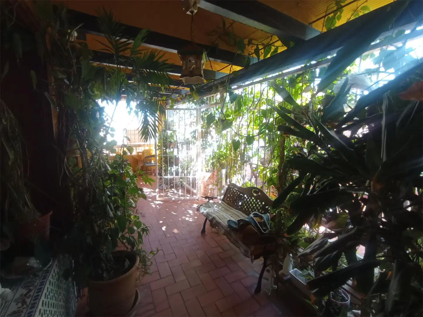 Detached homes for sale in Calle Benijófar, 13, Formentera del Segura Garden of Detached homes for sale in Formentera del Segura with Air Conditioner, Terrace and Balcony