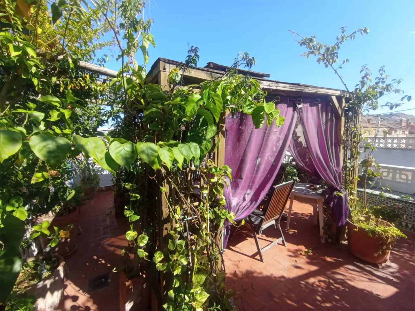 Detached homes for sale in Calle Benijófar, 13, Formentera del Segura Garden of Detached homes for sale in Formentera del Segura with Air Conditioner, Terrace and Balcony