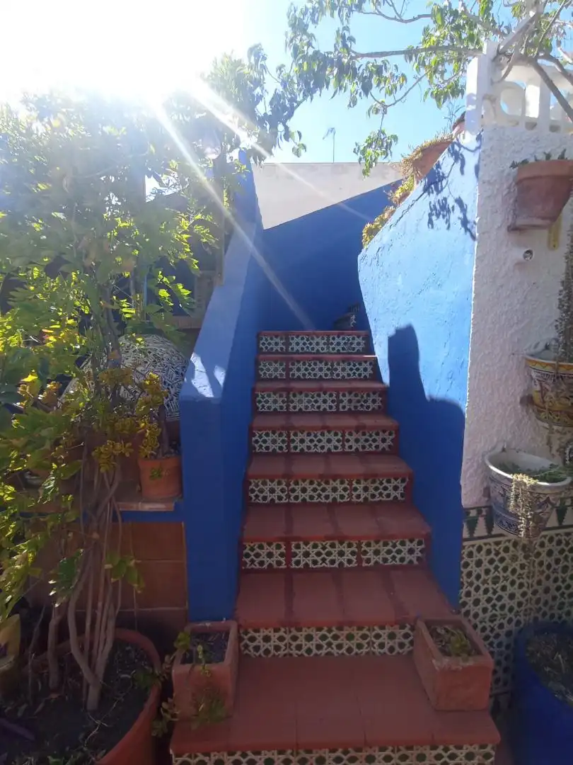 Detached homes for sale in Calle Benijófar, 13, Formentera del Segura Garden of Detached homes for sale in Formentera del Segura with Air Conditioner, Terrace and Balcony