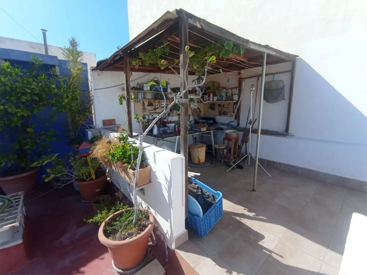 Detached homes for sale in Calle Benijófar, 13, Formentera del Segura Terrace of Detached homes for sale in Formentera del Segura with Air Conditioner, Terrace and Balcony