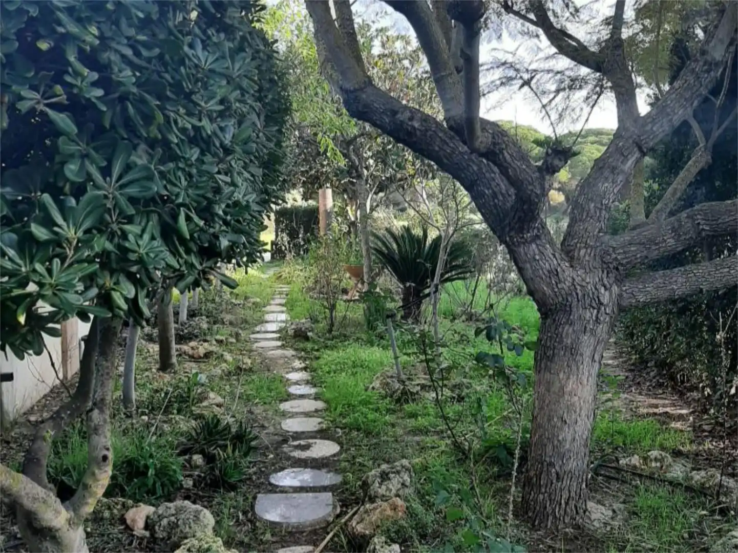 Casa o chalet en venta en Calle Malpica, 1, Punta Umbría Jardín de Casa o chalet en venta en Punta Umbría con Terraza y Balcón