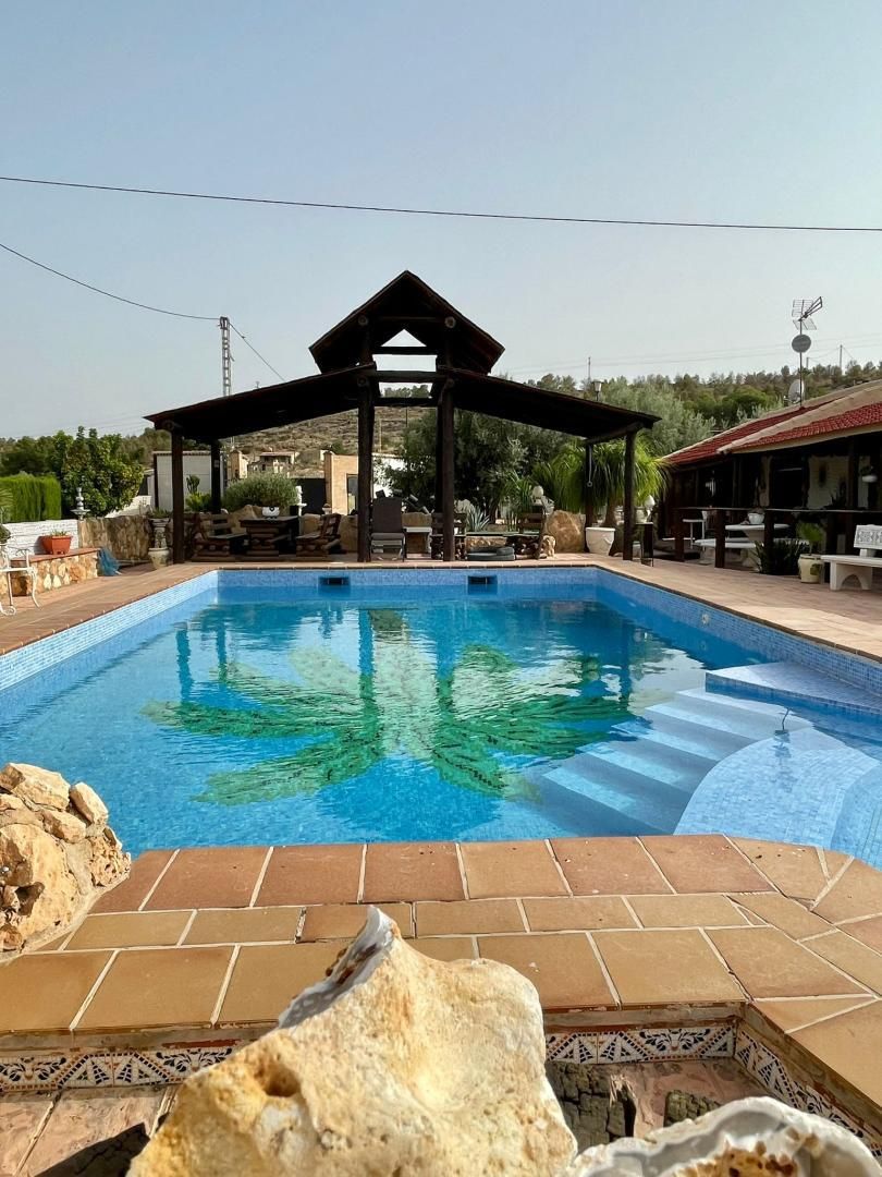 Piscina de Casa o xalet en venda en Elche / Elx amb Aire condicionat, Calefacció i Jardí privat