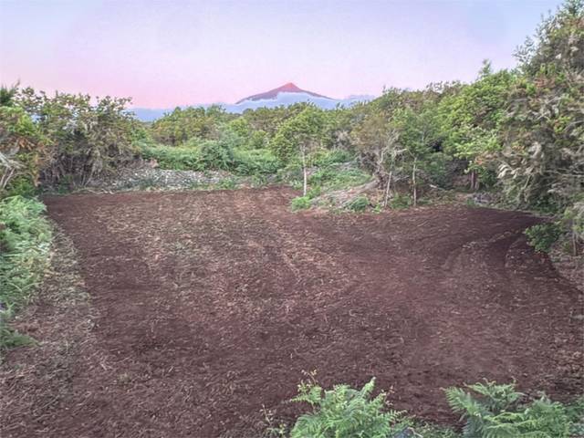 Finca rústica en Venta en Calle la Unión, 1 en El Tanque