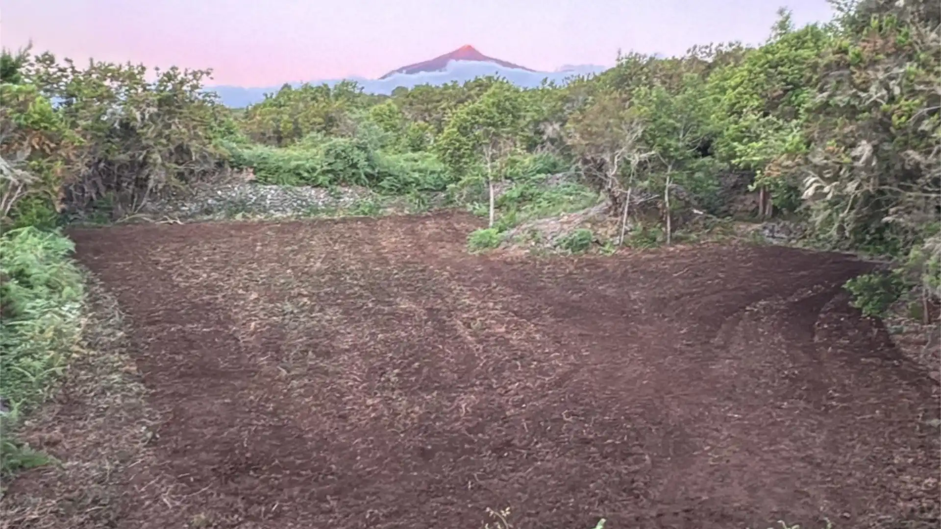 Finca rústica en venta en El Tanque